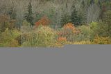 baumkronenpfad-herbst-108