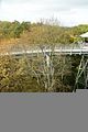 baumkronenpfad-herbst-112
