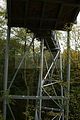 baumkronenpfad-herbst-114