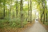 baumkronenpfad-herbst-12