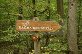baumkronenpfad-herbst-120