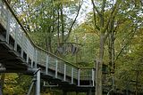 baumkronenpfad-herbst-17