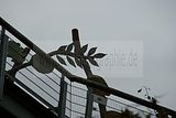 baumkronenpfad-herbst-18
