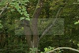 baumkronenpfad-herbst-33