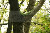 baumkronenpfad-herbst-40
