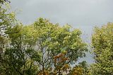 baumkronenpfad-herbst-41
