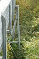 baumkronenpfad-herbst-52