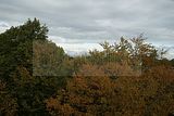 baumkronenpfad-herbst-53