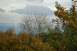 baumkronenpfad-herbst-54