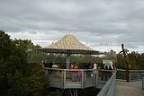 baumkronenpfad-herbst-57