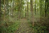 baumkronenpfad-herbst-6