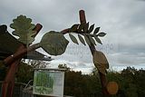 baumkronenpfad-herbst-62