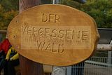 baumkronenpfad-herbst-63