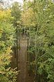 baumkronenpfad-herbst-66