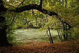 baumkronenpfad-herbst-7