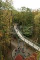 baumkronenpfad-herbst-78