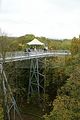 baumkronenpfad-herbst-80