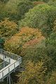 baumkronenpfad-herbst-81