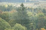 baumkronenpfad-herbst-91