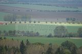 baumkronenpfad-herbst-95