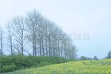 baumkronenpfad_05_2017_013