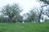 baumkronenpfad_05_2017_016