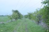 baumkronenpfad_05_2017_017