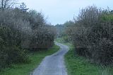 baumkronenpfad_05_2017_023