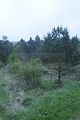 baumkronenpfad_05_2017_024