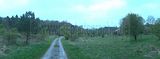 baumkronenpfad_05_2017_025
