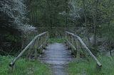 baumkronenpfad_05_2017_026
