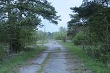 baumkronenpfad_05_2017_028