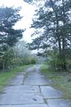 baumkronenpfad_05_2017_030