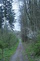 baumkronenpfad_05_2017_032