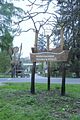 baumkronenpfad_05_2017_034
