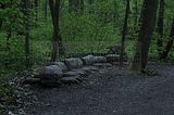 baumkronenpfad_05_2017_036