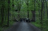 baumkronenpfad_05_2017_037