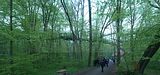 baumkronenpfad_05_2017_039