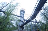 baumkronenpfad_05_2017_042