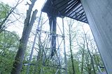 baumkronenpfad_05_2017_043
