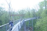 baumkronenpfad_05_2017_045