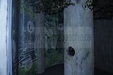 baumkronenpfad_05_2017_046