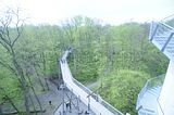baumkronenpfad_05_2017_047
