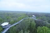 baumkronenpfad_05_2017_053