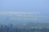 baumkronenpfad_05_2017_057