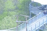 baumkronenpfad_05_2017_060