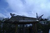 baumkronenpfad_05_2017_085