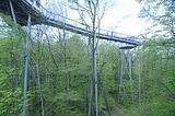 baumkronenpfad_05_2017_090