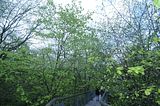 baumkronenpfad_05_2017_099