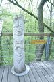 baumkronenpfad_05_2017_101